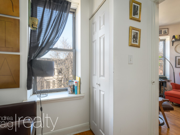 Junior 1 Bedroom In Park Slope D Andrea Craig Realty