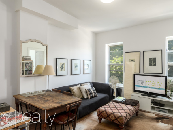 Junior 1 Bedroom In Park Slope D Andrea Craig Realty